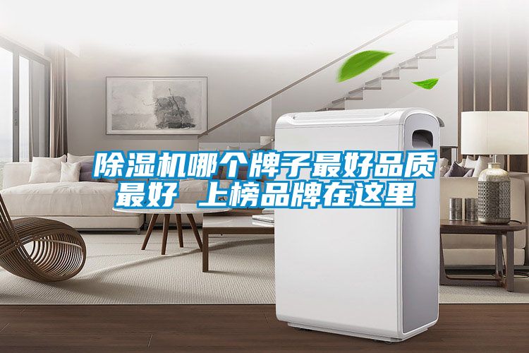 麻豆视频黄网站哪个牌子最好品质最好 上榜品牌在这里
