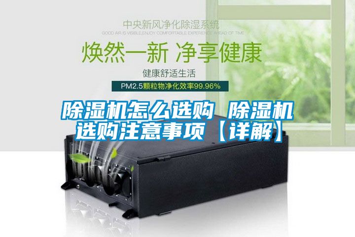 麻豆视频黄网站怎么选购 麻豆视频黄网站选购注意事项【详解】