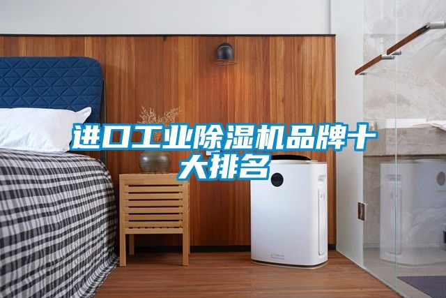 进口工业麻豆视频黄网站品牌十大排名