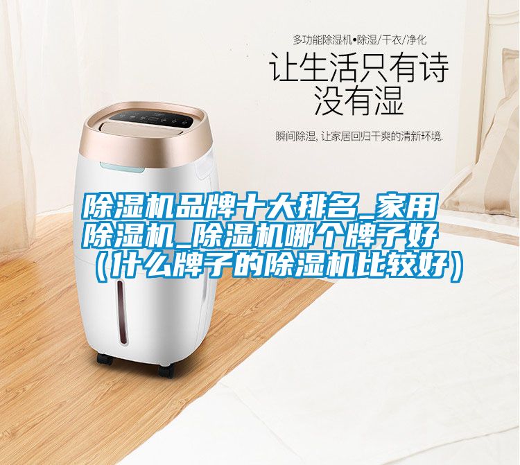 麻豆视频黄网站品牌十大排名_家用麻豆视频黄网站_麻豆视频黄网站哪个牌子好（什么牌子的麻豆视频黄网站比较好）