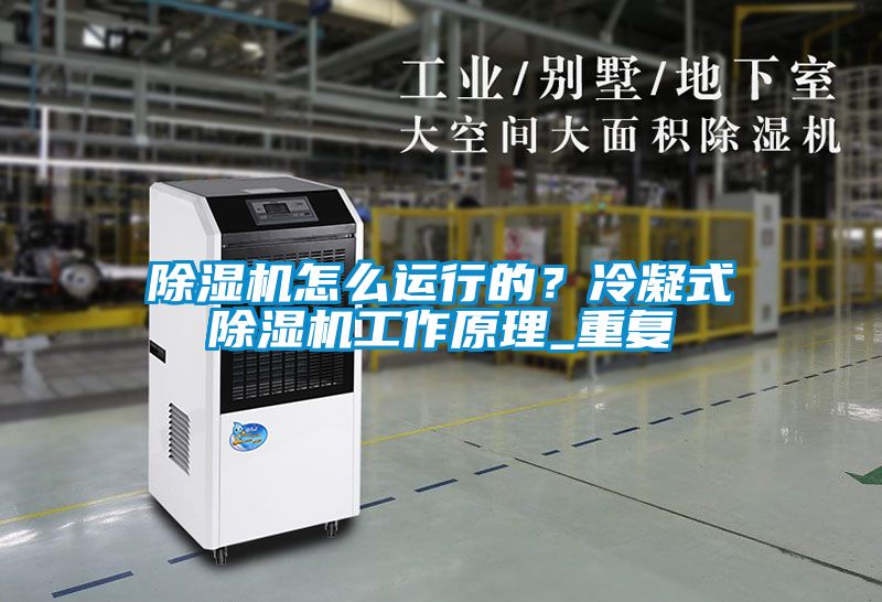 麻豆视频黄网站怎么运行的？冷凝式麻豆视频黄网站工作原理_重复