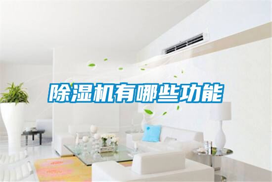 麻豆视频黄网站有哪些功能