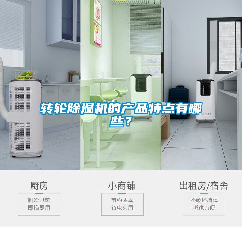 转轮麻豆视频黄网站的产品特点有哪些？