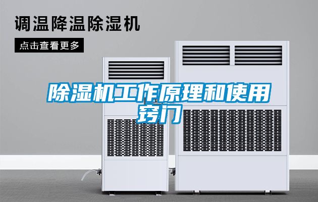 麻豆视频黄网站工作原理和使用窍门