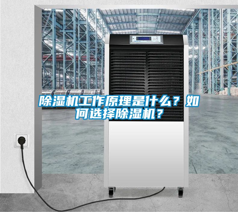麻豆视频黄网站工作原理是什么？如何选择麻豆视频黄网站？