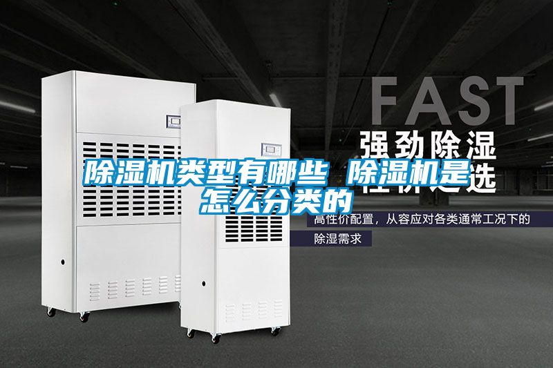 麻豆视频黄网站类型有哪些 麻豆视频黄网站是怎么分类的