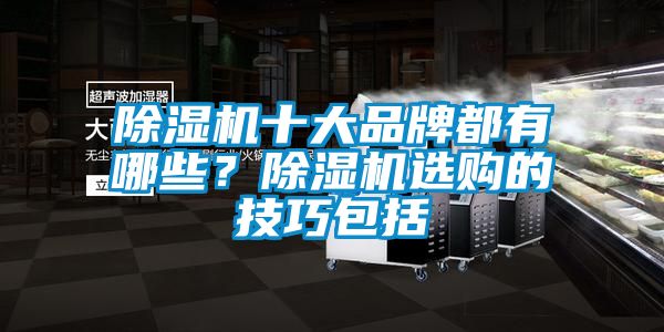 麻豆视频黄网站十大品牌都有哪些？麻豆视频黄网站选购的技巧包括
