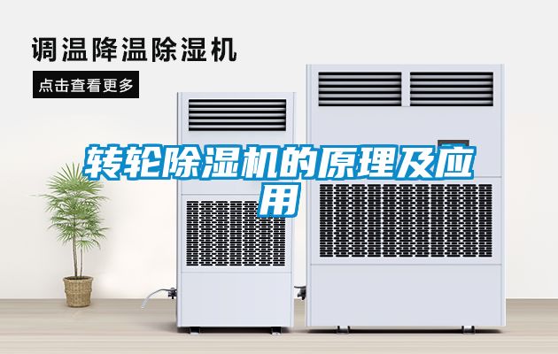 转轮麻豆视频黄网站的原理及应用