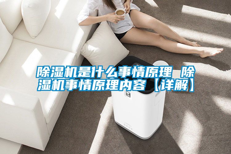 麻豆视频黄网站是什么事情原理 麻豆视频黄网站事情原理内容【详解】