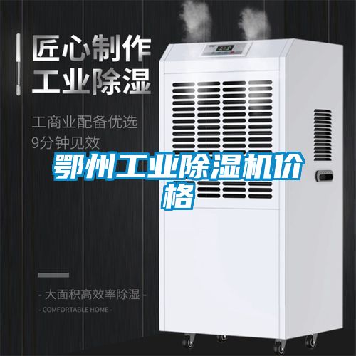 鄂州工业麻豆视频黄网站价格