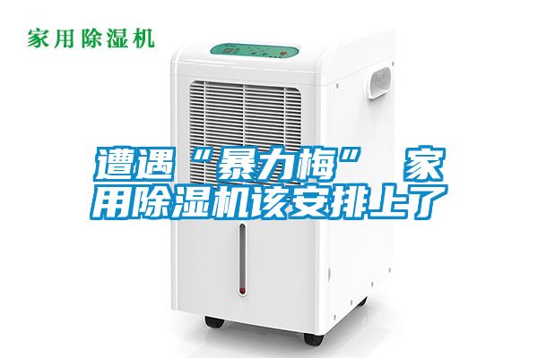 遭遇“暴力梅” 家用麻豆视频黄网站该安排上了