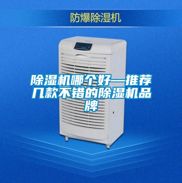 麻豆视频黄网站哪个好—推荐几款不错的麻豆视频黄网站品牌