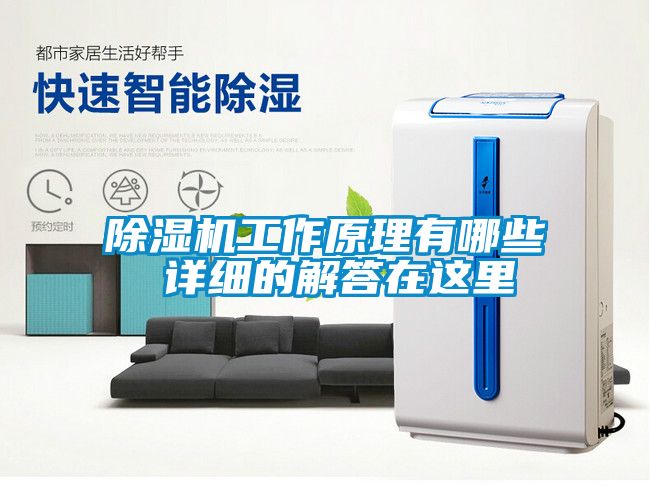 麻豆视频黄网站工作原理有哪些 详细的解答在这里