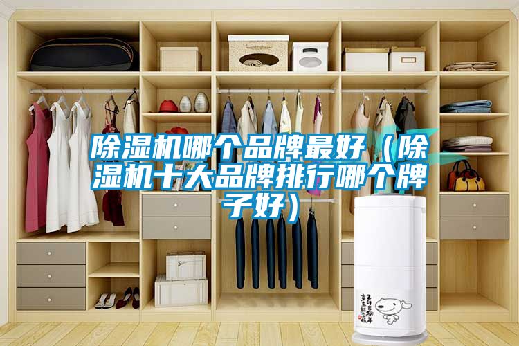 麻豆视频黄网站哪个品牌最好（麻豆视频黄网站十大品牌排行哪个牌子好）