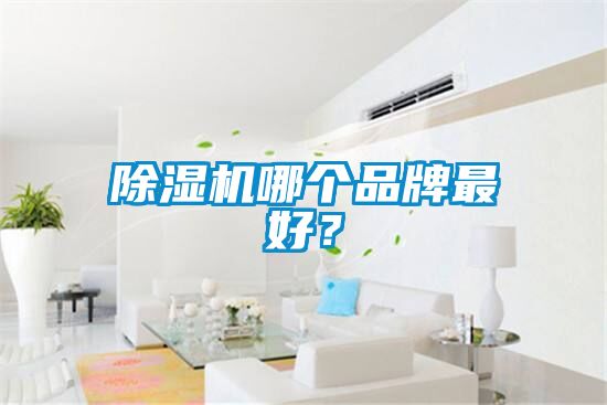 麻豆视频黄网站哪个品牌最好？