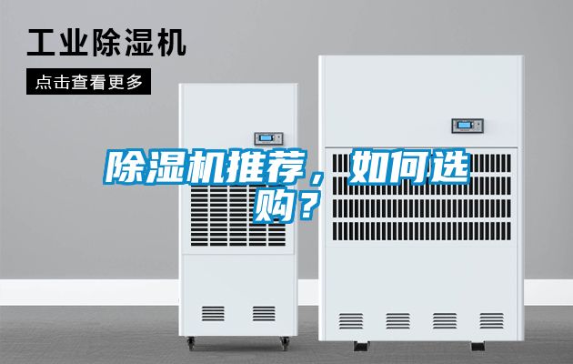 麻豆视频黄网站推荐，如何选购？