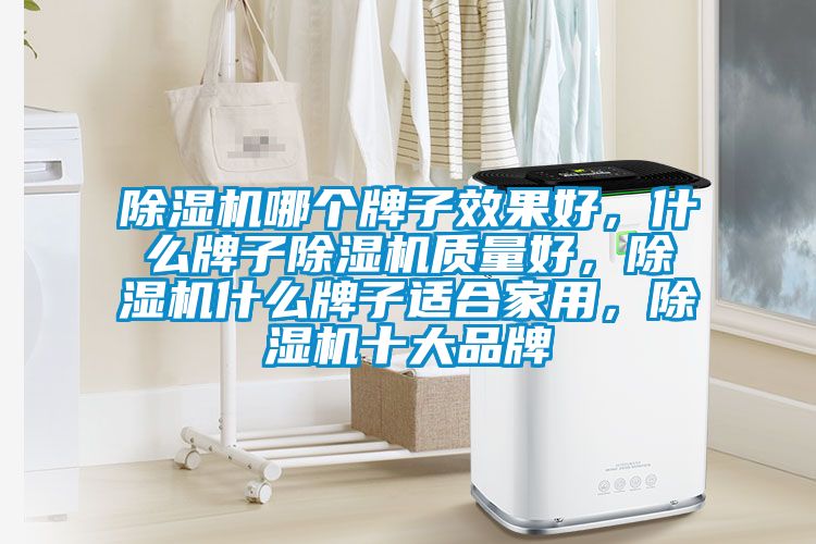 麻豆视频黄网站哪个牌子效果好，什么牌子麻豆视频黄网站质量好，麻豆视频黄网站什么牌子适合家用，麻豆视频黄网站十大品牌