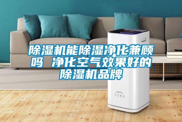 麻豆视频黄网站能除湿净化兼顾吗 净化空气效果好的麻豆视频黄网站品牌
