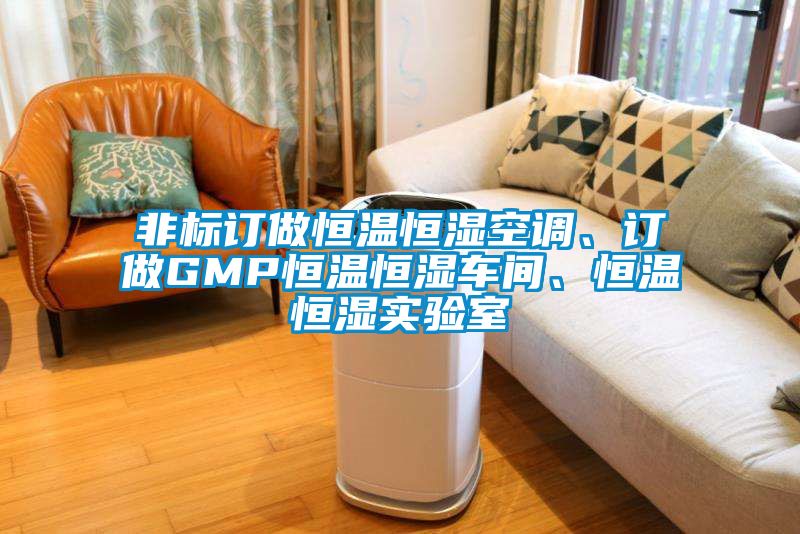 非标订做恒温恒湿空调、订做GMP恒温恒湿车间、恒温恒湿实验室