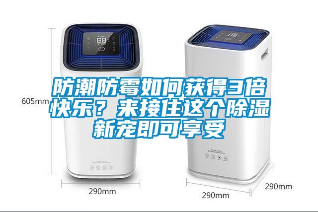防潮防霉如何获得3倍快乐？来接住这个除湿新宠即可享受