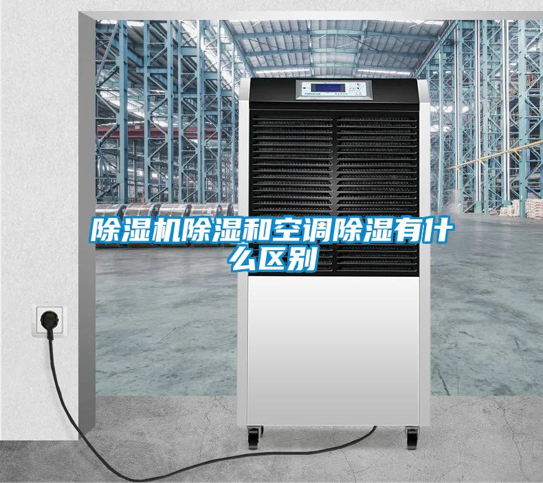 麻豆视频黄网站除湿和空调除湿有什么区别