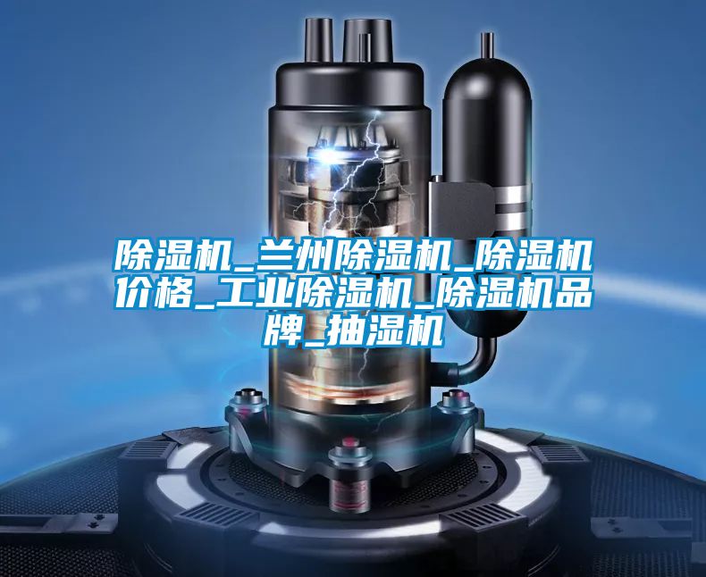 麻豆视频黄网站_兰州麻豆视频黄网站_麻豆视频黄网站价格_工业麻豆视频黄网站_麻豆视频黄网站品牌_抽湿机