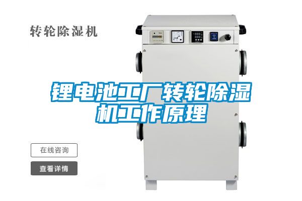 锂电池工厂转轮麻豆视频黄网站工作原理