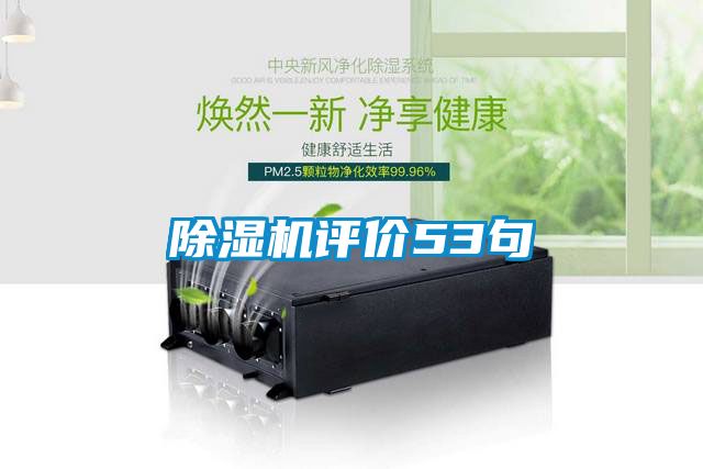 麻豆视频黄网站评价53句