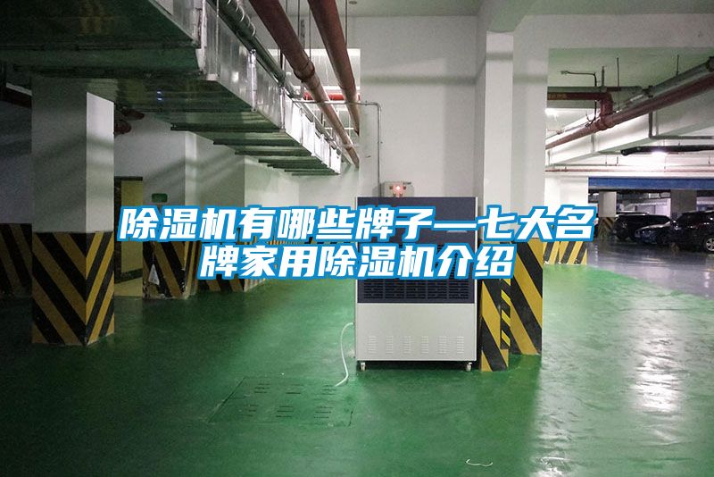 麻豆视频黄网站有哪些牌子—七大名牌家用麻豆视频黄网站介绍