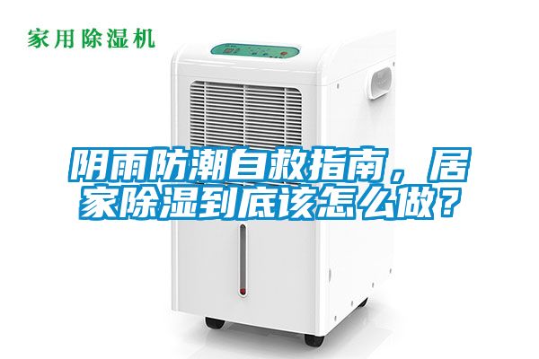 阴雨防潮自救指南，居家除湿到底该怎么做？