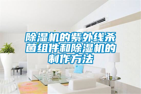 麻豆视频黄网站的紫外线杀菌组件和麻豆视频黄网站的制作方法