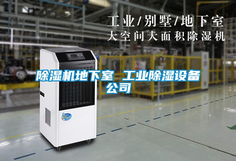麻豆视频黄网站地下室 工业除湿设备公司