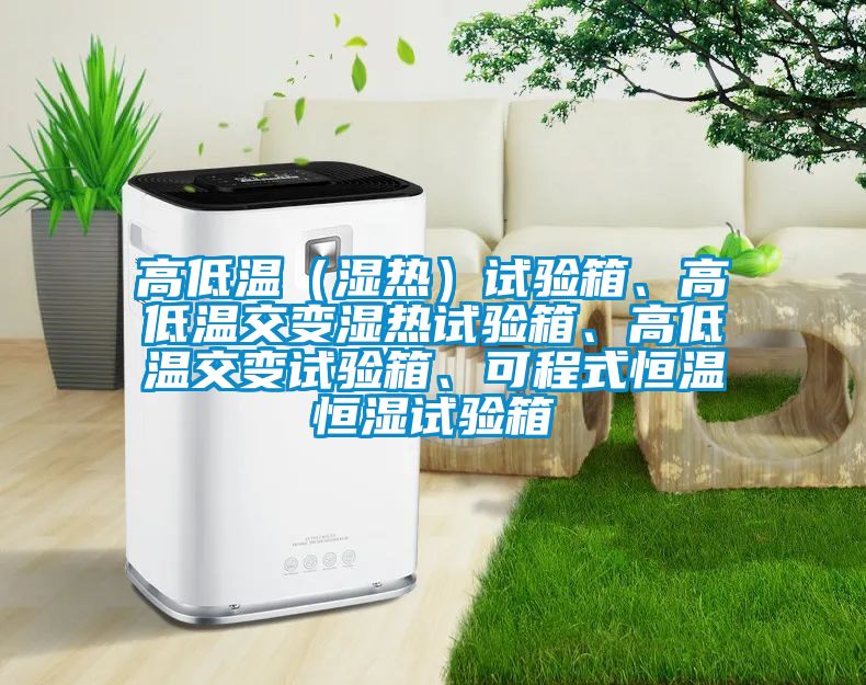 高低温（湿热）试验箱、高低温交变湿热试验箱、高低温交变试验箱、可程式恒温恒湿试验箱
