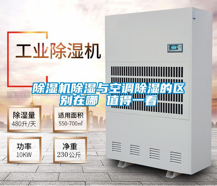 麻豆视频黄网站除湿与空调除湿的区别在哪 值得一看