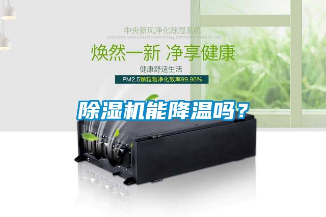 麻豆视频黄网站能降温吗？