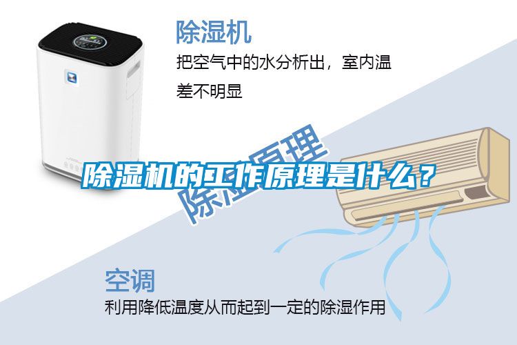 麻豆视频黄网站的工作原理是什么？