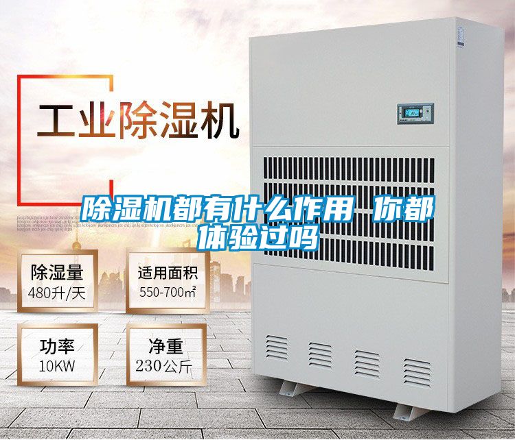 麻豆视频黄网站都有什么作用 你都体验过吗