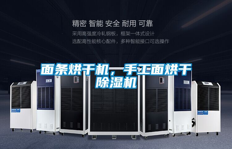 面条烘干机，手工面烘干麻豆视频黄网站