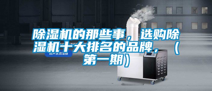 麻豆视频黄网站的那些事，选购麻豆视频黄网站十大排名的品牌，（第一期）