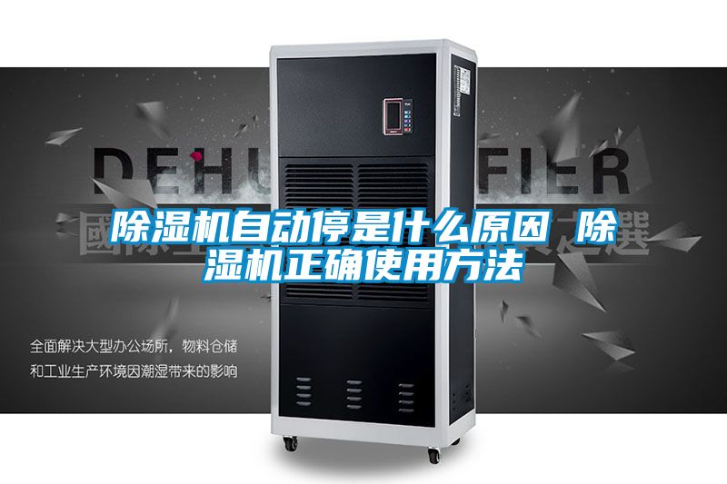 麻豆视频黄网站自动停是什么原因 麻豆视频黄网站正确使用方法