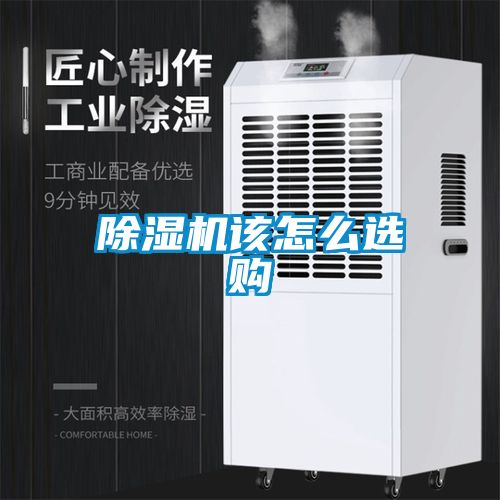 麻豆视频黄网站该怎么选购