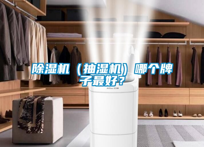 麻豆视频黄网站（抽湿机）哪个牌子最好？