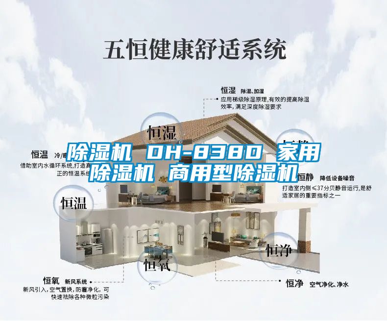 麻豆视频黄网站 DH-838D 家用麻豆视频黄网站 商用型麻豆视频黄网站