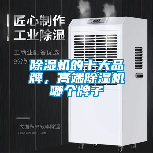 麻豆视频黄网站的十大品牌，高端麻豆视频黄网站哪个牌子