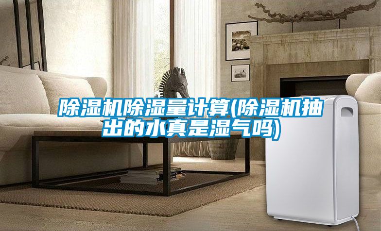 麻豆视频黄网站除湿量计算(麻豆视频黄网站抽出的水真是湿气吗)