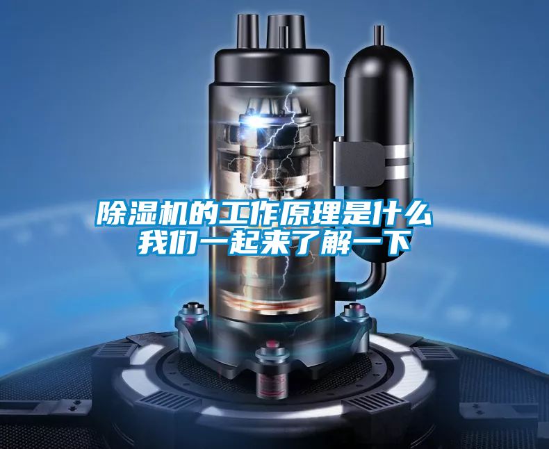麻豆视频黄网站的工作原理是什么 麻豆APP官网一起来了解一下