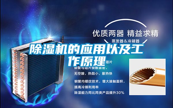 麻豆视频黄网站的应用以及工作原理