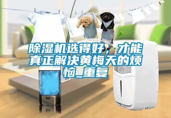麻豆视频黄网站选得好，才能真正解决黄梅天的烦恼_重复