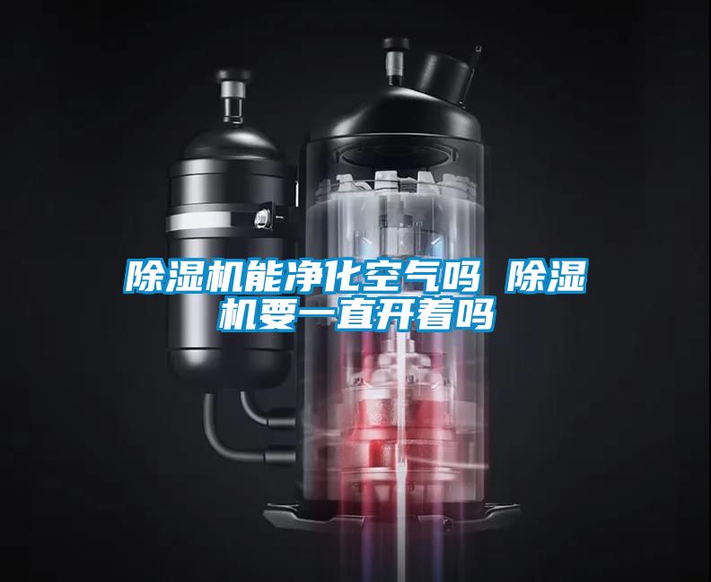 麻豆视频黄网站能净化空气吗 麻豆视频黄网站要一直开着吗