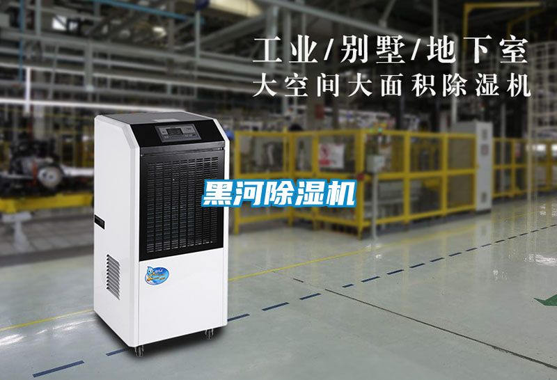 黑河麻豆视频黄网站